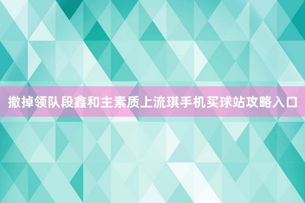 撤掉领队段鑫和主素质上流琪手机买球站攻略入口