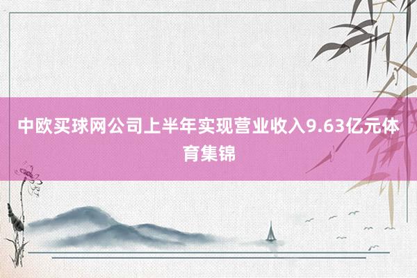 中欧买球网公司上半年实现营业收入9.63亿元体育集锦