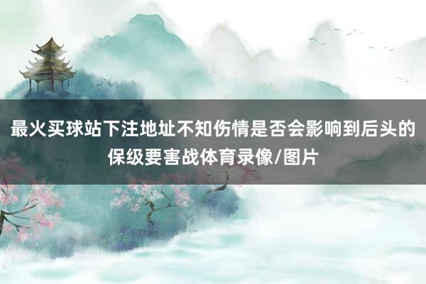 最火买球站下注地址不知伤情是否会影响到后头的保级要害战体育录像/图片