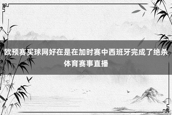 欧预赛买球网好在是在加时赛中西班牙完成了绝杀体育赛事直播