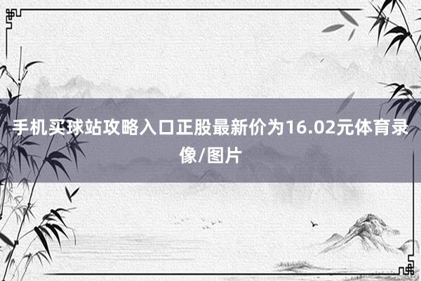 手机买球站攻略入口正股最新价为16.02元体育录像/图片