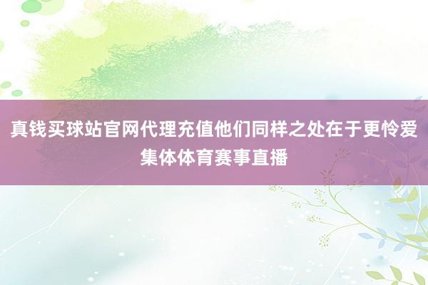 真钱买球站官网代理充值他们同样之处在于更怜爱集体体育赛事直播