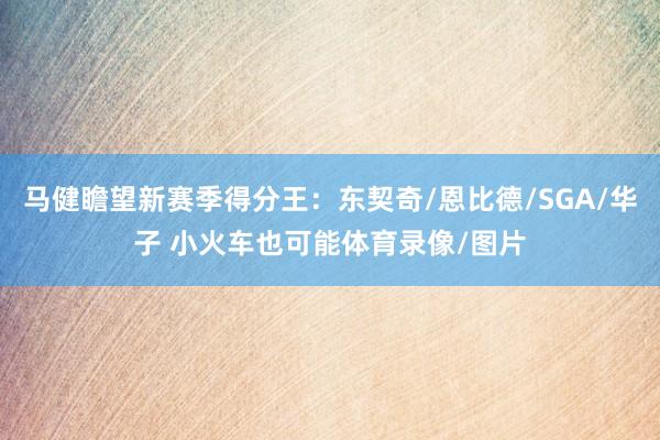 马健瞻望新赛季得分王：东契奇/恩比德/SGA/华子 小火车也可能体育录像/图片