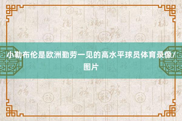 小勒布伦是欧洲勤劳一见的高水平球员体育录像/图片